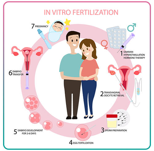 IVF (In Vitro Fertilization) - Specialist Gynaecology Treatment in Bangalore